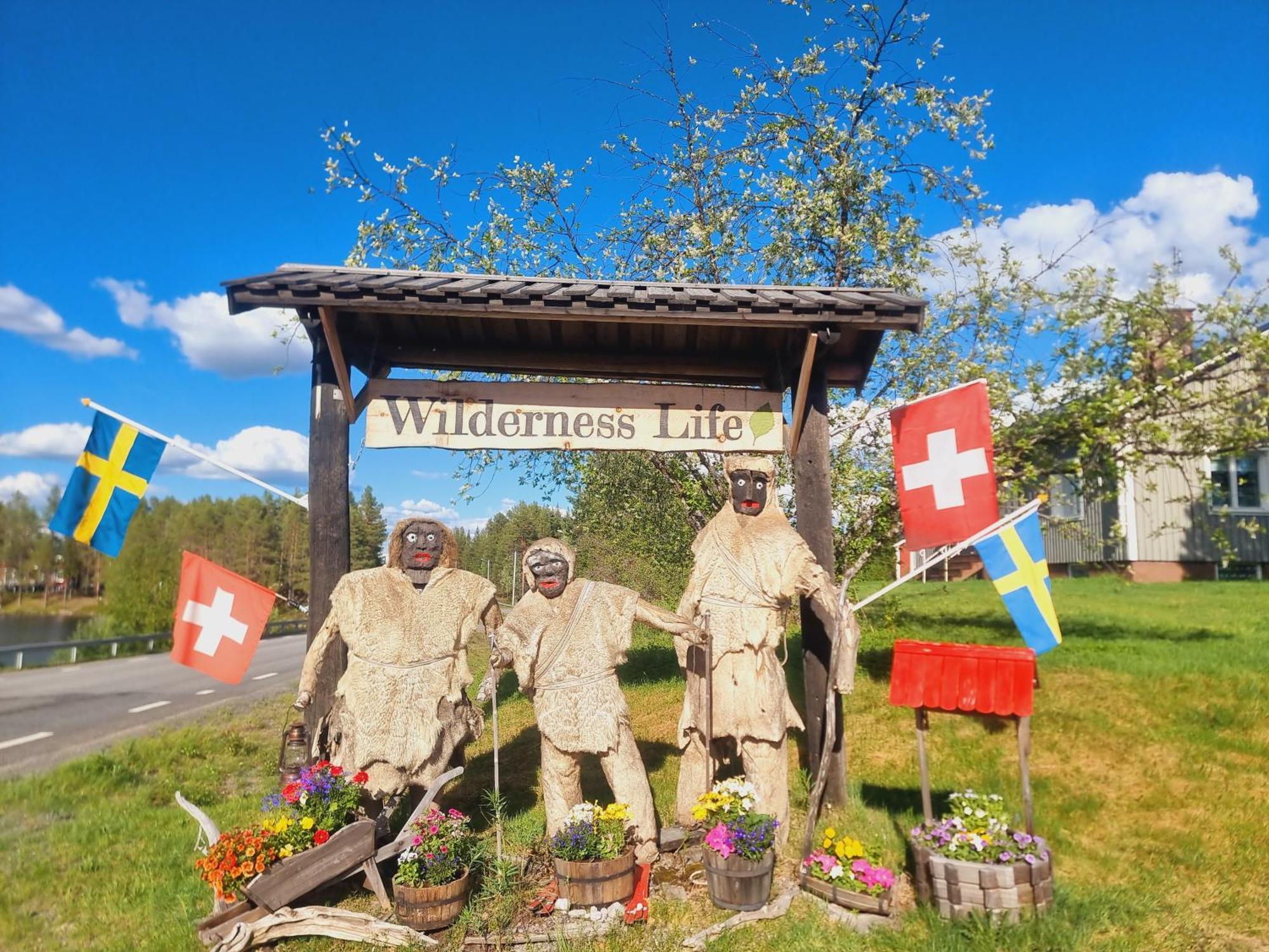 Elch Zimmer Wilderness Life Arvidsjaur Exterior foto